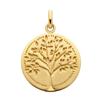 Médaille Arthus Bertrand...