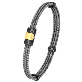 Bracelet Albanu Acier PVD...