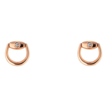 Clous d'oreilles Gucci...