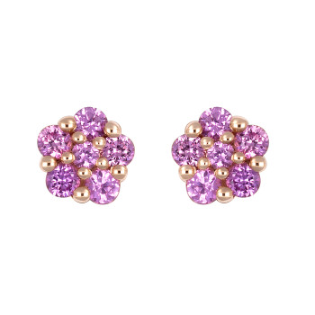 Puces d'oreilles Crivelli...