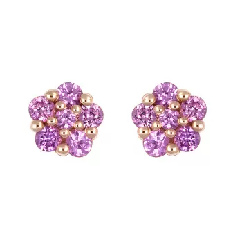Puces d'oreilles Crivelli...