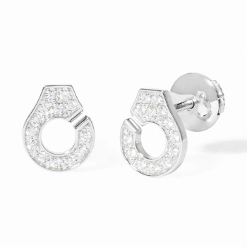 Puces d'oreilles dinh van...