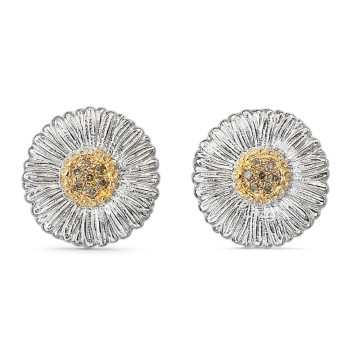 Boucles d'oreilles...