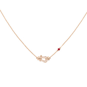 Collier FRED Force 10 Moyen...
