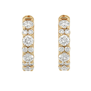 Boucles D'oreilles...