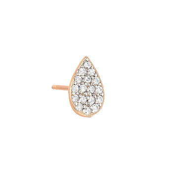 Puce d'oreille GINETTE NY...